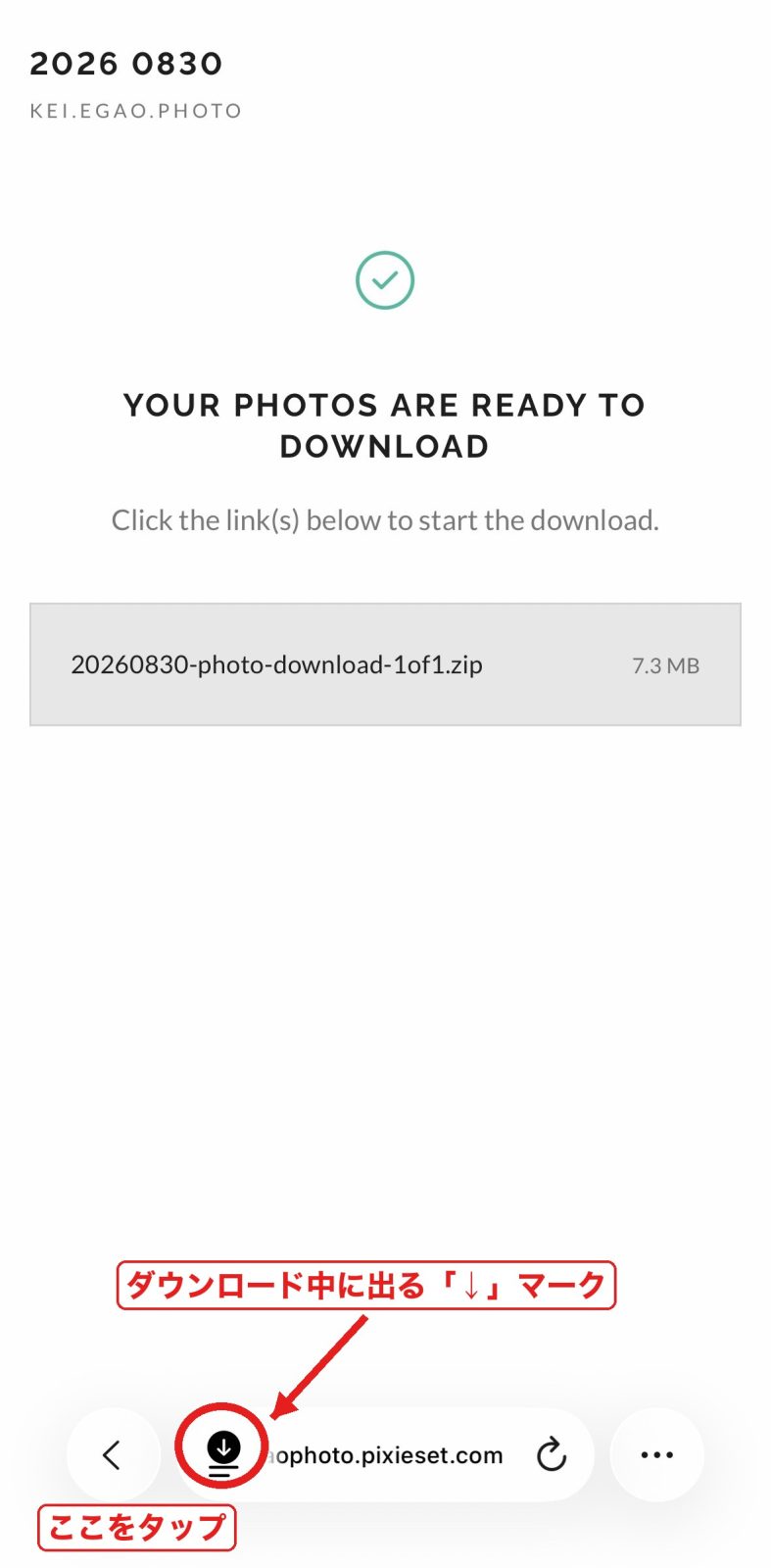 アドレスバーに出るダウンロードマーク