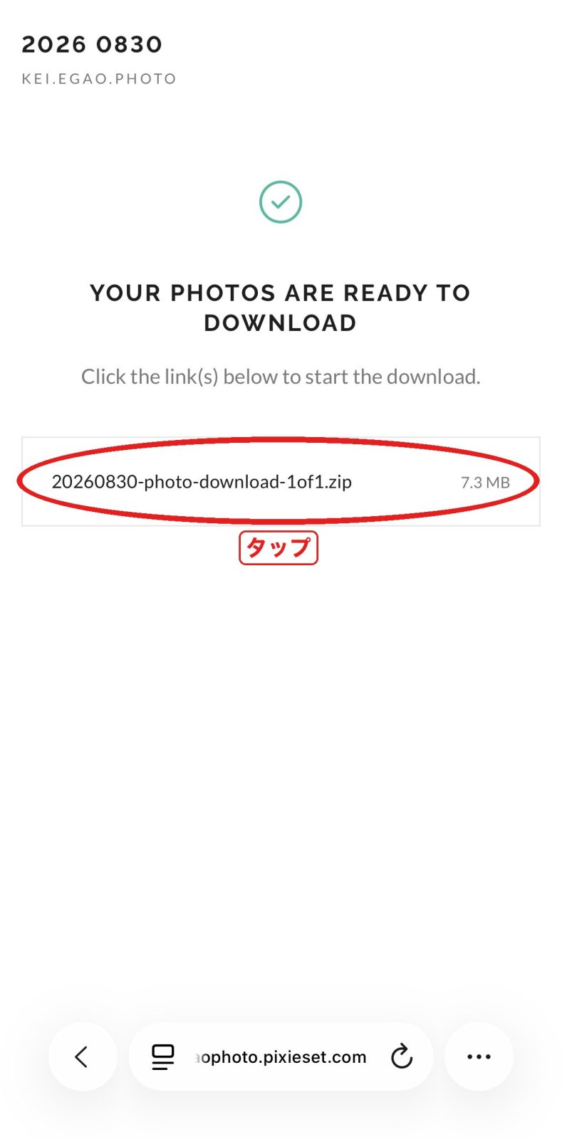 zipファイルを押す